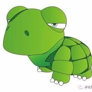 小乌龟