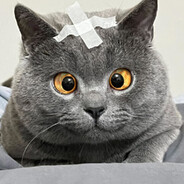 当然是选择原谅她