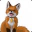 Sly Fox_902