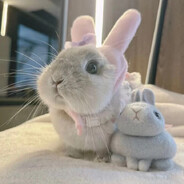 好好学习天天向上