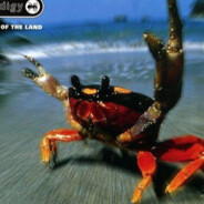 CRAB