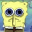 spongangelo