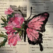 我是一只会飞的小白鸽