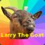 Larry the goat!