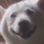 BΞN