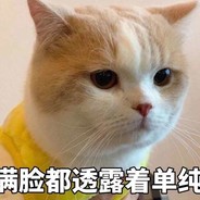 笑猪