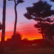 纤尘不染美少年