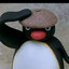 pingu
