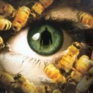 Candyman - steam id 76561197960374020