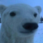 jason born on dust 2