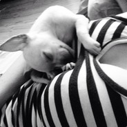 Киса Вовы :3