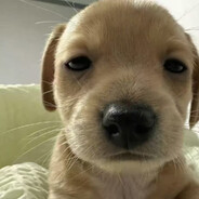 讨厌没有你的下雨天