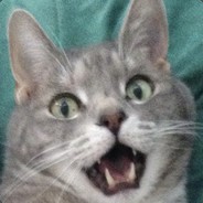 Travis Steam avatar