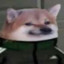 dogedoshik