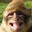 Monkey Trainer