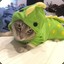 ThroughCat