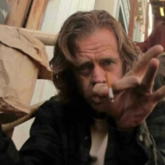 南区自由人弗兰克