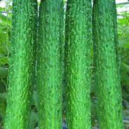 三天两日一定要改