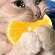 快帮帮我啊小帮手