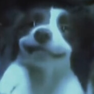 x_________o avatar