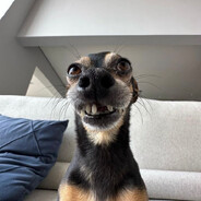 Iasmin.SKINS - steam id 76561199884355232