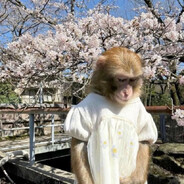 ve1nel - steam id 76561198852595827