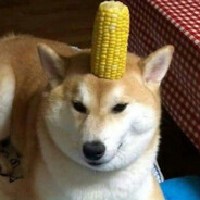 vattenkokaren - steam id 76561198152696926