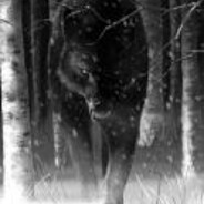 Kill@B - steam id 76561198885659150