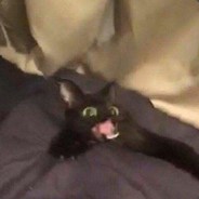 Легион Александрович