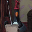 Feathers McGraw