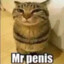 Mr Penis