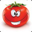 TenderTomatoe