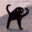 NowhereGoat