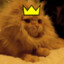 [KING] Cat