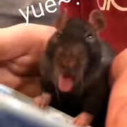 有你好果子吃！