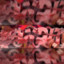 Banan_72