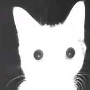 zurtek avatar