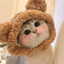 МС ПО КУНИ♡