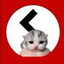 Kitinger