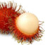 Rambutan