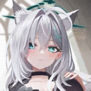 不吃桔梗的黑猫