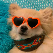 想吃什么地上捡