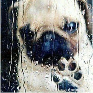 кирилл грустный