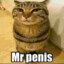 Mr.Penis