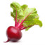 Beet