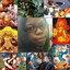 Ny Firestorm