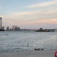 番茄炒蛋加点醋