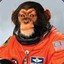 Space Chimp
