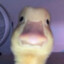 QuackOnCrak