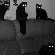 ostrovsky - steam id 76561198821163798